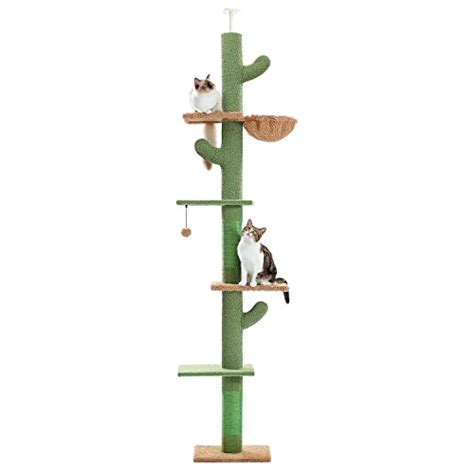 Floor To Ceiling Cat Tree For Large Cats 2024 Vet Ranch We Love Pets