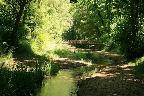 De ruta por los Parques Naturales de Andalucía