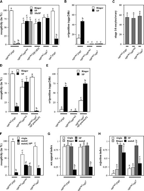 Figure 1 From Sex Peptide Regulated Female Sexual Behavior Requires A