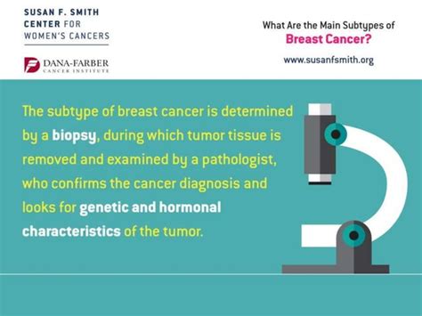 What Are The Main Subtypes Of Breast Cancer Ppt