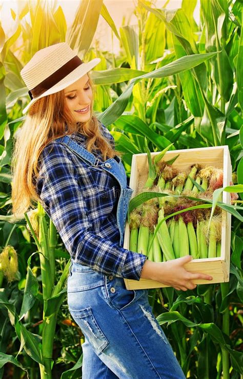 Menina Nova Do Fazendeiro No Campo De Milho Imagem De Stock Imagem De