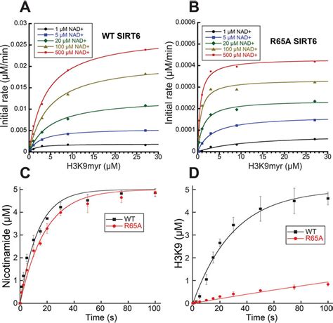 Kinetic Analysis Of Sirt6 Wt And R65a Demyristoylation A And B Download Scientific Diagram