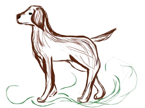 Canine Practice Sketch By Brendax9345 On Deviantart