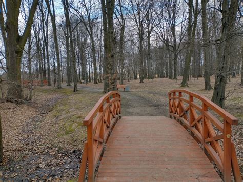 Na osiedlu Miłocin powstanie park leśny Super Nowości wiadomości z