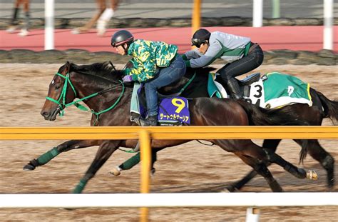 【日本ダービー】無敗の2冠を狙う皐月賞馬サートゥルナーリアは3枠6番枠順決定 Umatoku 馬トク