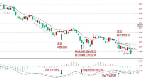 Macd金叉和死叉图解，macd金叉和死叉的提示 知乎