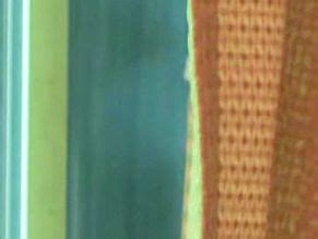 Claudia Alvarez Nude Aznude