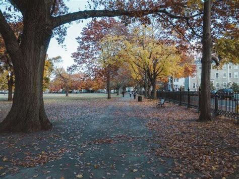 13 Wicked Things To Do In Salem Ma In October And Survival Tips