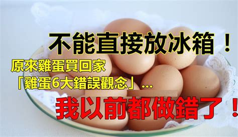 原來雞蛋買回家不能直接放冰箱，而是要先做「這件事」！99％的人都不知道！