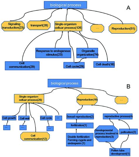 Biological Process Pathways Doi Journal Pone G