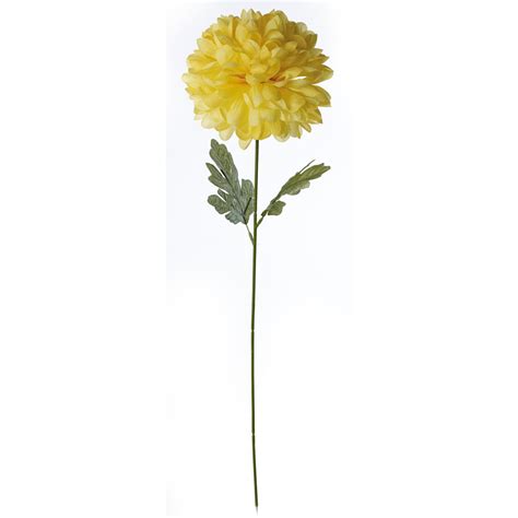 Free Flower Stem Download Free Flower Stem Png Images Free Cliparts