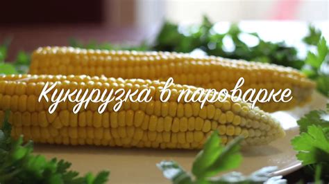Вкусная, сочная КУКУРУЗА В ПАРОВАРКЕ ! - YouTube
