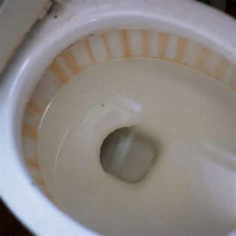 What Causes Toilet Bowl Ring And How To Prevent It?