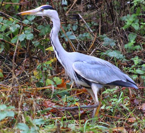 Gossip Her First Naked Outdoor Photo Shoot And It Was Cold And Wet