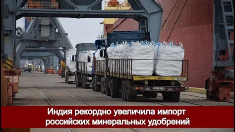 Индия рекордно увеличила импорт российских минеральных удобрений - YouTube