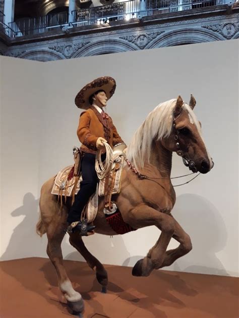 Soy El Charro Mexicano Noble Valiente Y Leal