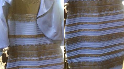 Blue And Black Dress Memes Obviously Took Over The Internet Last Night ...