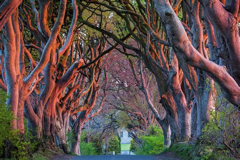 Ireland, County Antrim, Ballymoney Photograph by Walter Bibikow | Fine ...