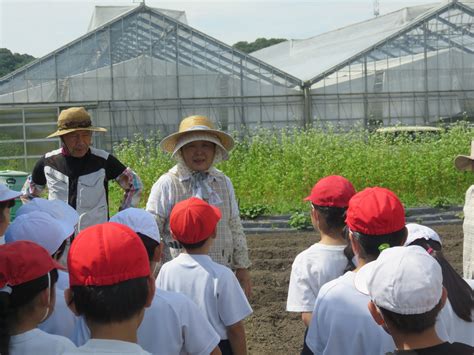 6月27日 今日の伊深小② ～3年生大豆の種まき～ 美濃加茂市立伊深小学校