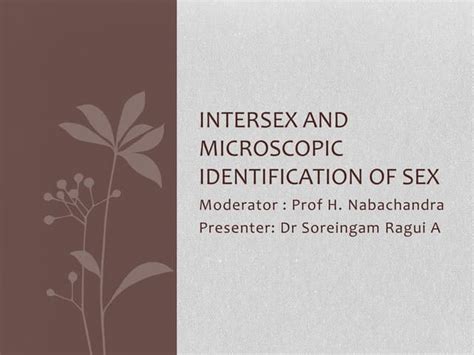 Intersex And Microscopic Identification Of Sex Ppt