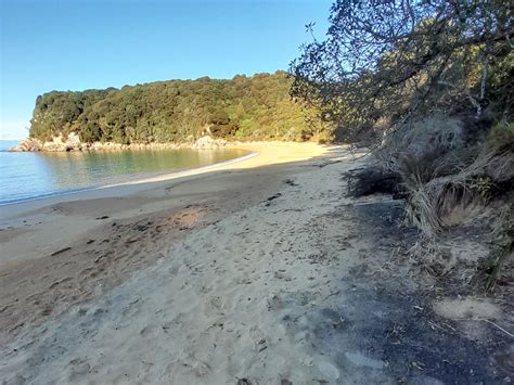 Te Pukatea Pitt Head Abel Tasman Sea Shuttles