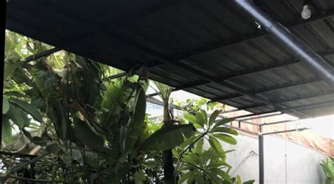 cách biến tấu cùng bikini dành cho người gầy giúp nàng hack dáng hiệu quả BlogAnChoi