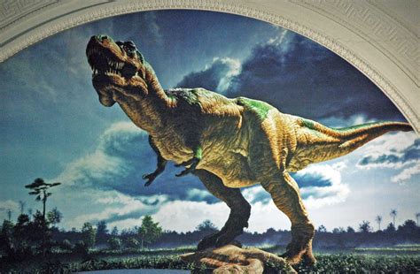 Scotty Cel Mai Mare Tyrannosaurus Rex Găsit Vreodată Cântărea Aproape