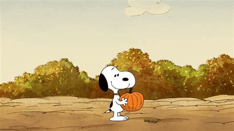 Snoopy Happy Dance Gifs Gifdb