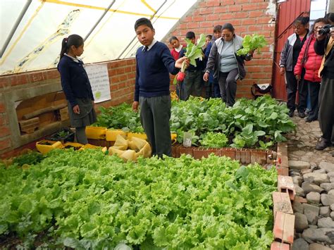 Guía y manual para instalar huertos escolares Urgentebo