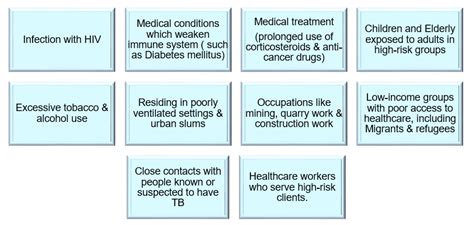 Risk Factors For Tb Disease Knowledge Base