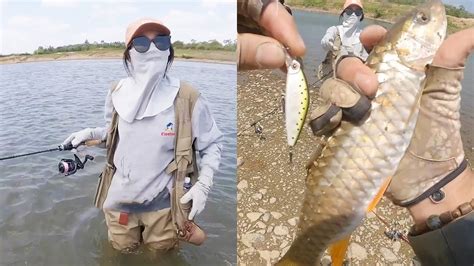 Wild Fishing Stream Elf Spinibarbus Hollandi A Surprise Harvest YouTube