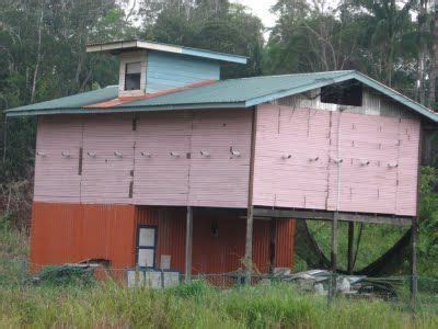 Rumah Burung Walet Dari Kayu Desain Rumah Minimalis Modern