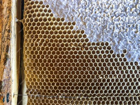 Premium Photo | Wax structures and nests of bees from hexagonal
