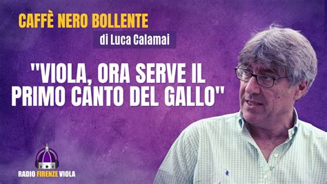 Fiorentina Il CNB Di Calamai Viola Ora Serve Il Primo Canto Del