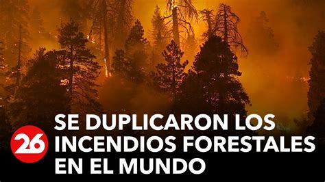 Se Duplicaron Los Incendios Forestales En El Mundo Youtube