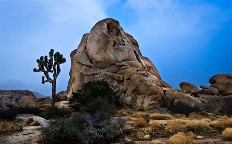 Joshua Tree National Park Coolwallpapersme