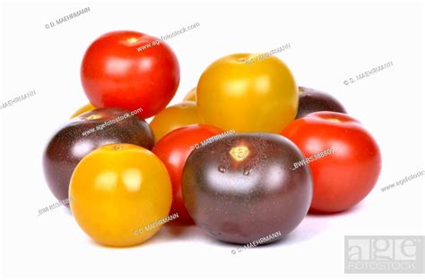 Garden Tomato Solanum Lycopersicum Lycopersicon Esculentum Cherry