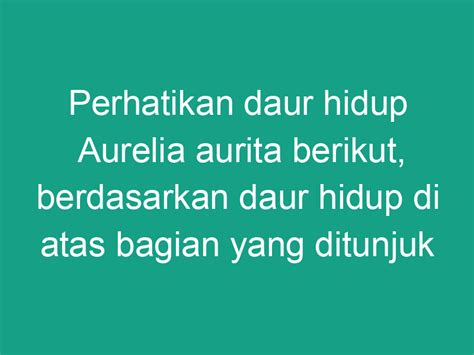 Perhatikan Gambar Daur Hidup