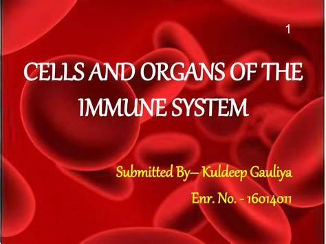 Cells And Organ Of Immune System And Their Functions Ppt