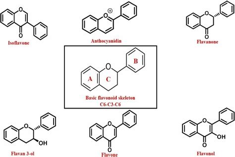 药品开发的新视角：g 四链体与膳食黄酮类化合物的相互作用澎湃号·湃客澎湃新闻 The Paper