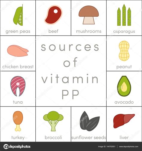 Vitamin PP Sources — Stock Vector © marina_ua #144702051