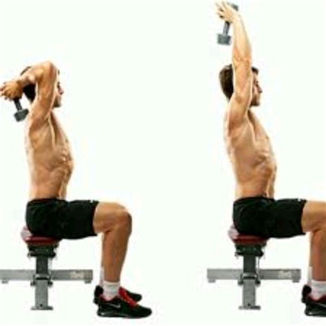 Seated Tricep Press By Robster C Exercise How To Skimble