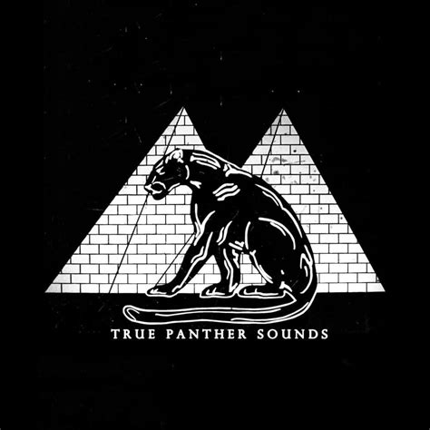 True Panther Sounds Lyrics Songs And Albums Genius