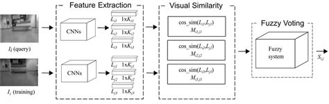 Schematic diagram illustrating the process of determining the visual ...