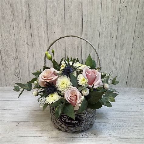 На данном изображении может находиться: растение и цветок | Flower ...
