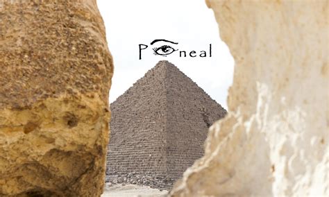 Pineal Records, Books & Films | Supporting Musical, Literary, and ...