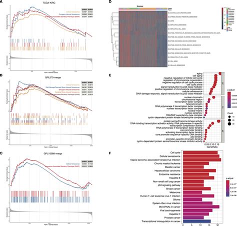 Frontiers Comprehensive Analysis Of Senescence Characteristics