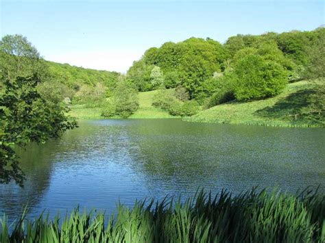 Brook Farm Trout Fishery Brook Farm