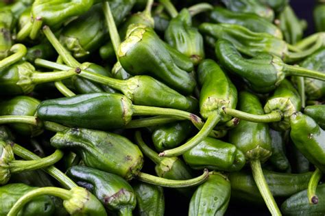 Padrón Pepper Guide: Heat, Flavor, Uses