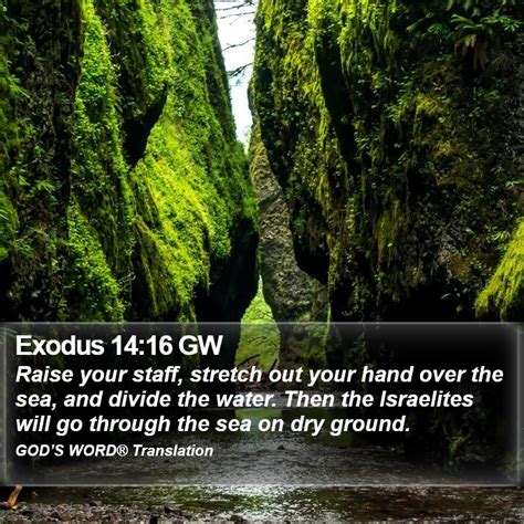 Exodus 1416 Gw Raise Your Staff Stretch Out Your Hand Over The